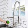 12 2312000 WOWOW Kitchen Faucet Commercial Sprayer 2