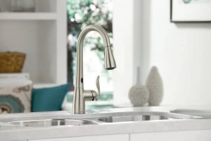 Moen Arbor 7594ESRS Reviews: Is It Worth Buying In 2022?