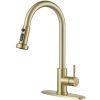 iviga brushed gold pull down kitchen faucet