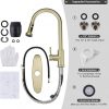 iviga brushed gold pull down kitchen faucet