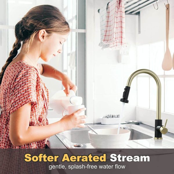 iviga gold and black kitchen faucet with pull down sprayer