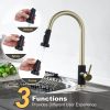 iviga gold and black kitchen faucet with pull down sprayer