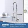 Pull Down Kitchen Faucet