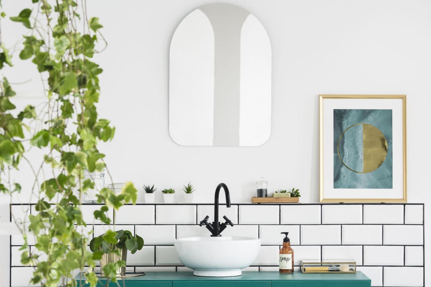 Best Plant for Bathroom with No Windows: Embracing Greenery with iVIGA - Blog - 2