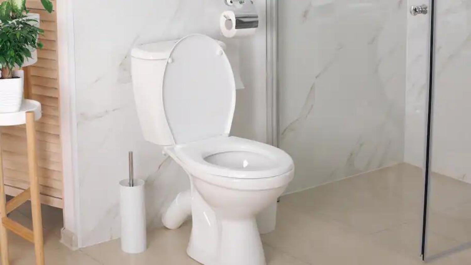 Exploring Toilet Bowl Prices: Factors, iVIGA Brand, and More - Blog - 3