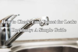 How to Check Your Faucet for Leaks Regularly: A Simple Guide